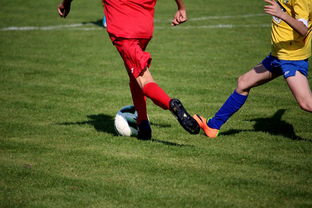 -篮球训练计划科学制定及执行效果跟踪研究，简述篮球训练计划制定步骤