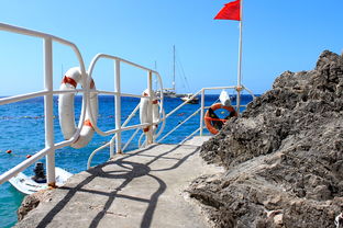 九游网游官网-海湾者未来青训体系逐渐完善，海湾技术